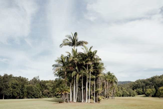 gold-coast-wedding-venue-the-acre-Ivy&Bleu-18