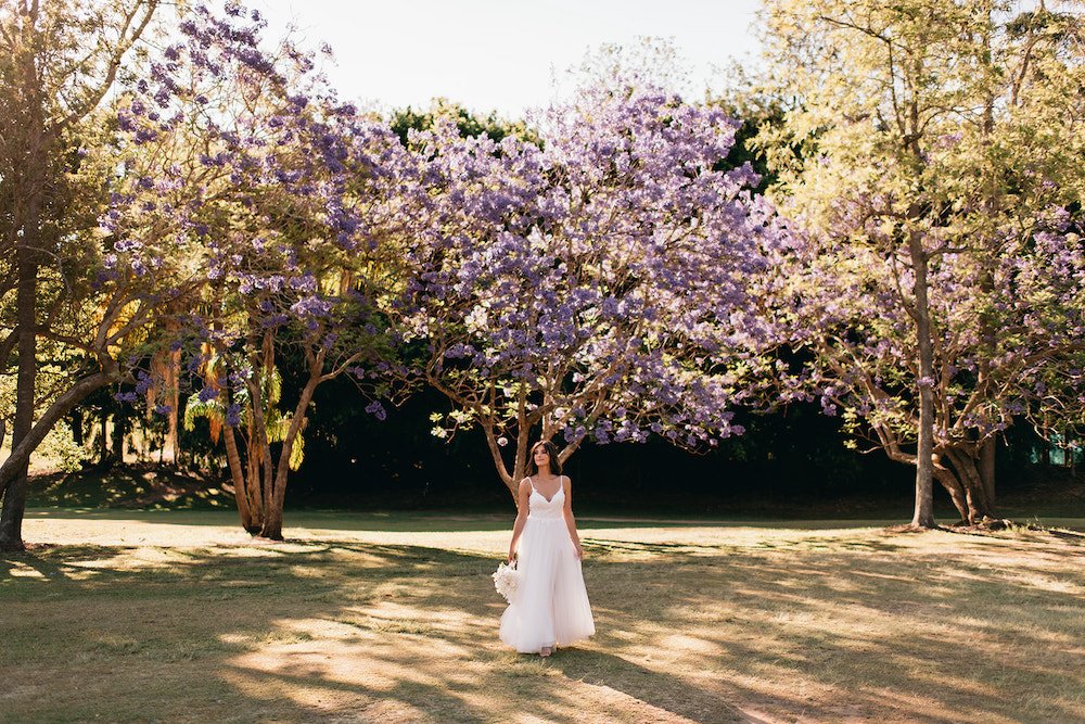Bride standing in front of blooming jacaranda tree
