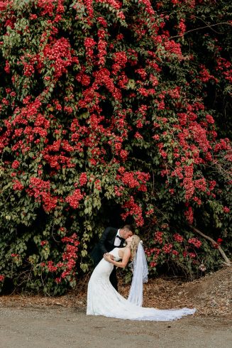 bougainvillea tree wedding venue