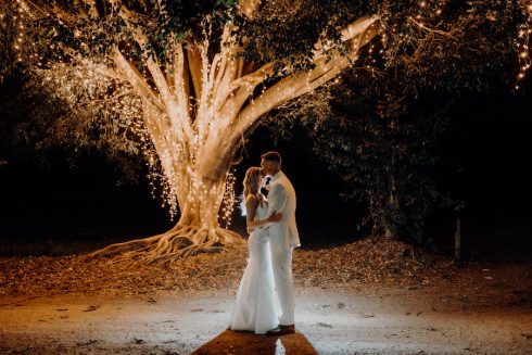 Tree + fairy lights